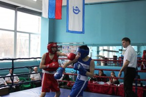 IMG_6311